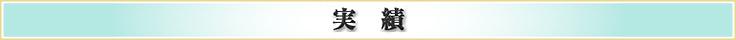 実績